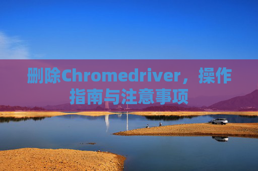 删除Chromedriver，操作指南与注意事项